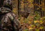 Whitetail buck standing in an autumn hardwood forest with a camouflaged hunter blurred in the foreground