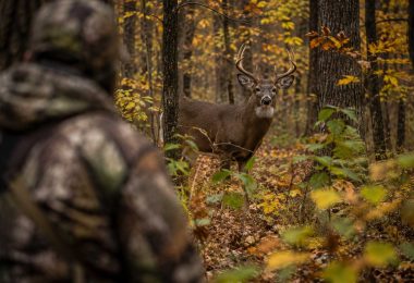 Whitetail buck standing in an autumn hardwood forest with a camouflaged hunter blurred in the foreground