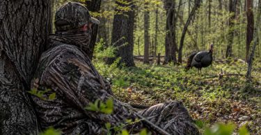 Hunter wearing camouflage while sitting against a tree and watching a wild turkey in a wooded area