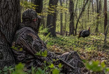 Hunter wearing camouflage while sitting against a tree and watching a wild turkey in a wooded area