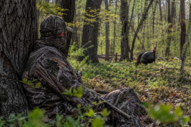 Hunter wearing camouflage while sitting against a tree and watching a wild turkey in a wooded area
