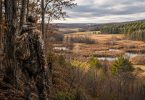 Hunter in camouflage overlooking a landscape with forest, wetlands, and open fields.
